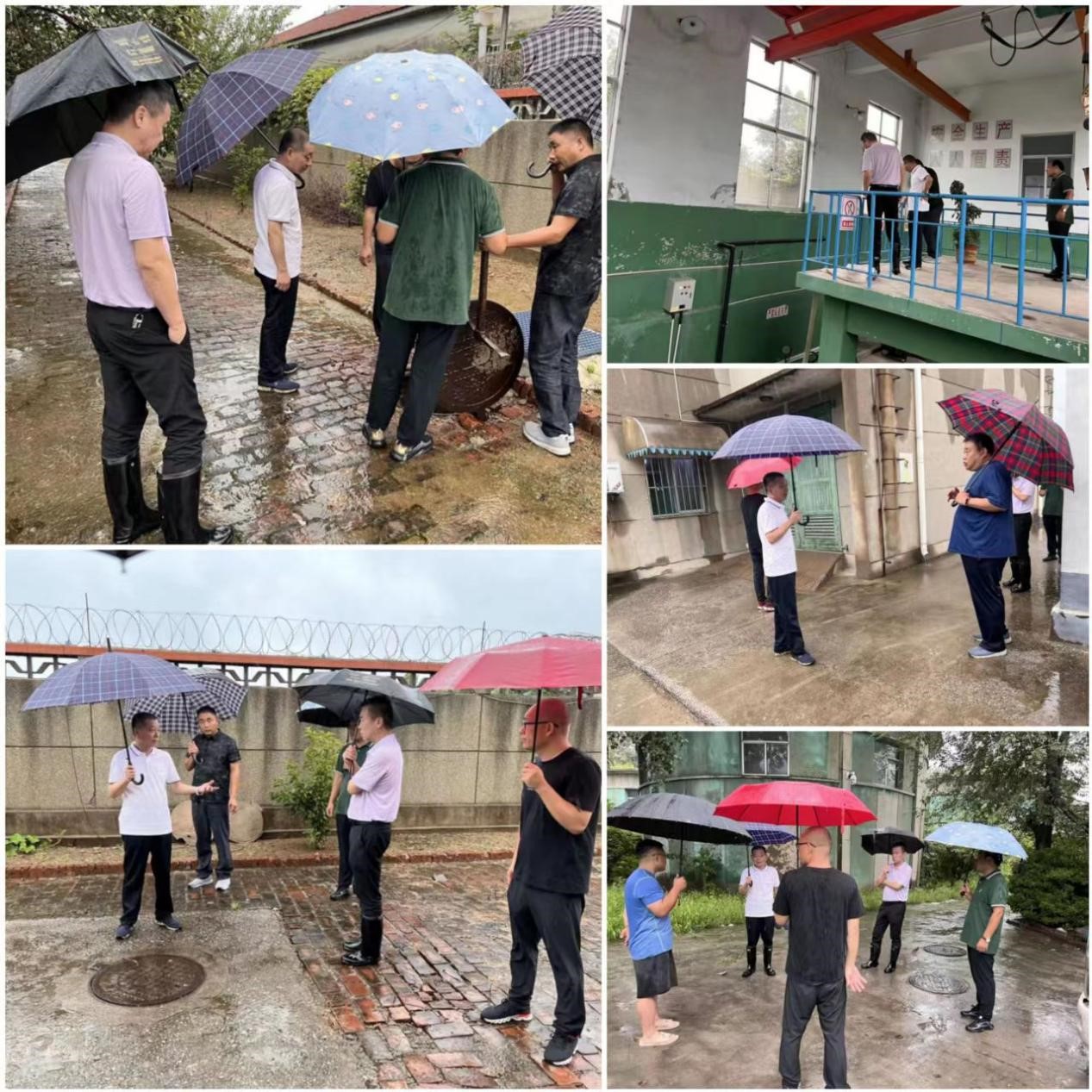 1660122167310999.jpg 1.jpg