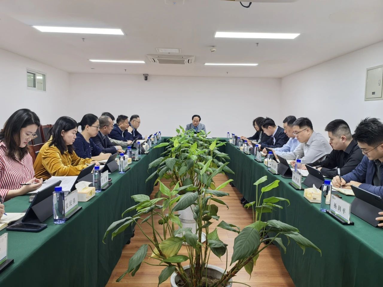 1744183052731230.jpeg 94f84100aeb0faebd84137f1b0bfa4ec.jpeg