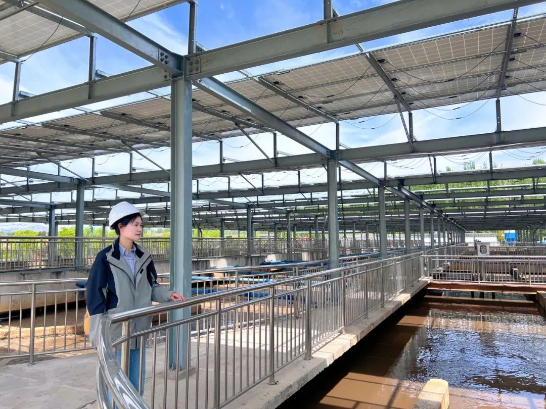 1746499714846165.jpeg 640.jpeg